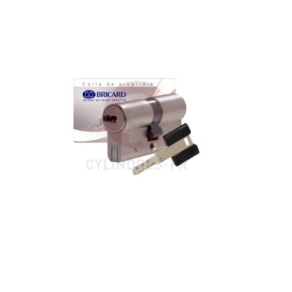 BRICARD Cylindre serrure - Dual XPS