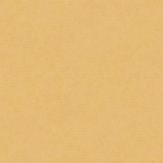 CENTRA ARTEX REVÊTEMENT DU SOL VINYLE 3M - T53