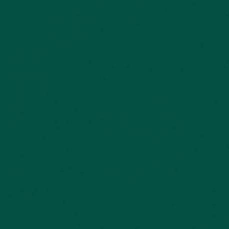 VINYLE TARKETT 3,45 MM OMNISPORTS - V/TA/4/GREN