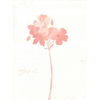 Papier Peint PRIMADECO - Fleur Rose / Saumon 6782-02