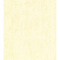 Papier Peint PRIMADECO - Metropole Jaune Pale 350-01