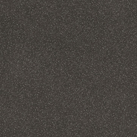 CENTRA REVÊTEMENT DU SOL VINYLE 2M SEDNA T99