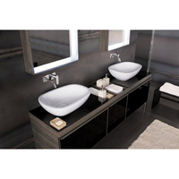 GEBERIT CITTERIO Vasque à poser 56 x 40 cm - 500.542.01.1