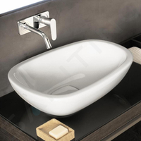 GEBERIT CITTERIO Vasque à poser 56 x 40 cm - 500.542.01.1