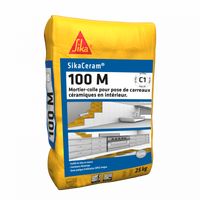 SIKA Sikaceram 100M Gris 25Kg