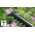 BOSCH taille-haies  450W Easy HedgeCut 55 - 0600847C02