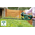 BOSCH taille-haies  450W Easy HedgeCut 55 - 0600847C02