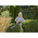 GARDENA Taille-haies EasyCut 40/18V P4A - Kit pret a l'emploi - 14733-20