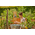 Programmateur d’arrosage Gardena Easy - 01896-20-2