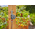Programmateur d’arrosage Gardena Easy - 01896-20 - 4