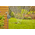 Programmateur d’arrosage Gardena Easy - 01896-20 - 3