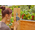 Programmateur d’arrosage Gardena Easy - 01896-20-1