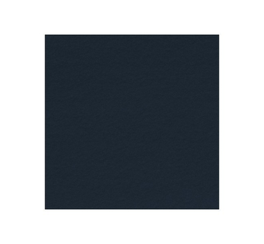 Moquette Stand Event - Bleu nuit - 2m x 30ml