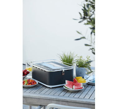 BARBECOOK Carlo Urban Grey Barbecue portable - 2235915000